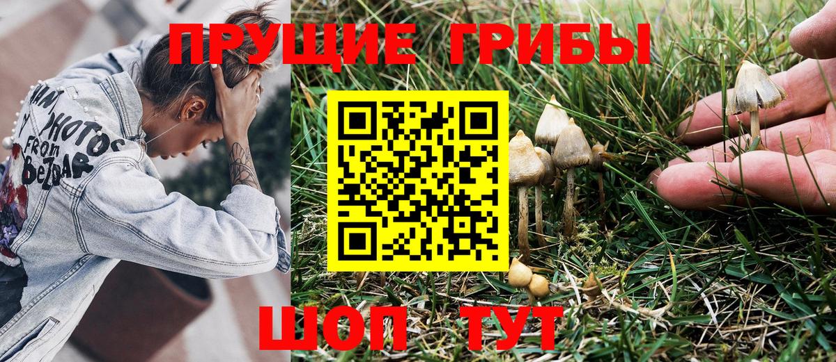 Галлюциногенные грибы мицелий  Галлюциногенные грибы прущие грибы  Вход с VPN  Соль-Илецк 
