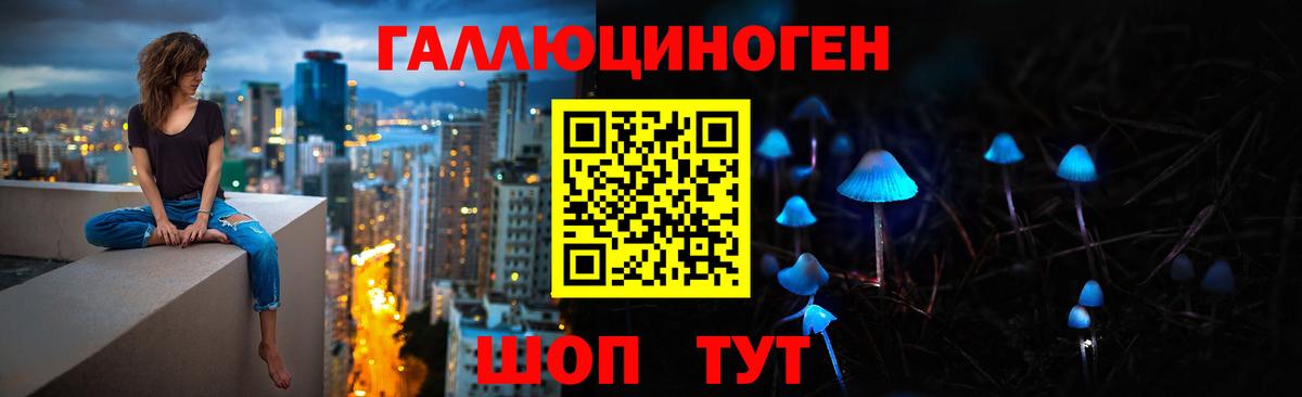 Псилоцибиновые грибы Psilocybine cubensis Соль-Илецк